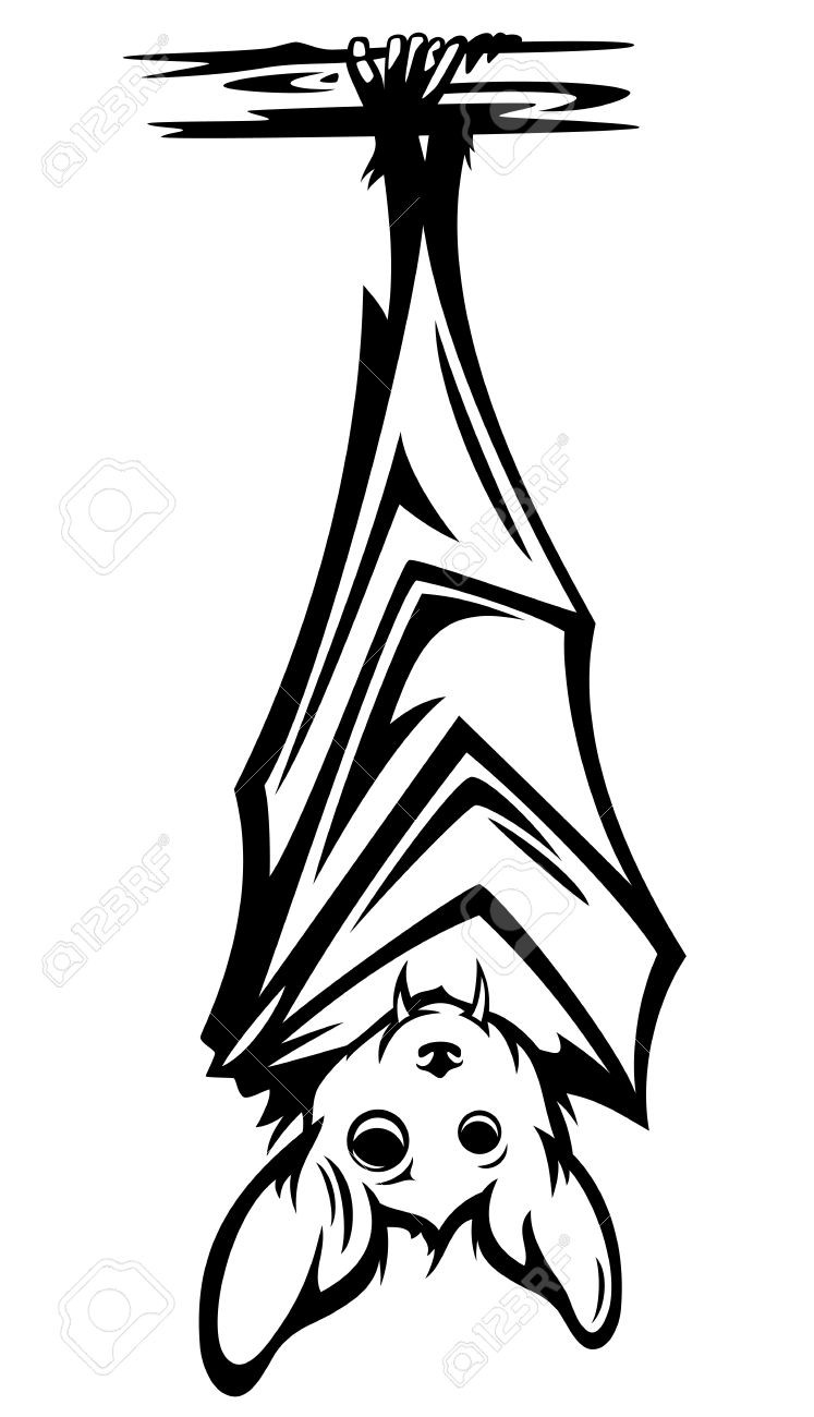 747x1300 Cute Bat Hanging On Tree Branch Black And White Halloween Outline