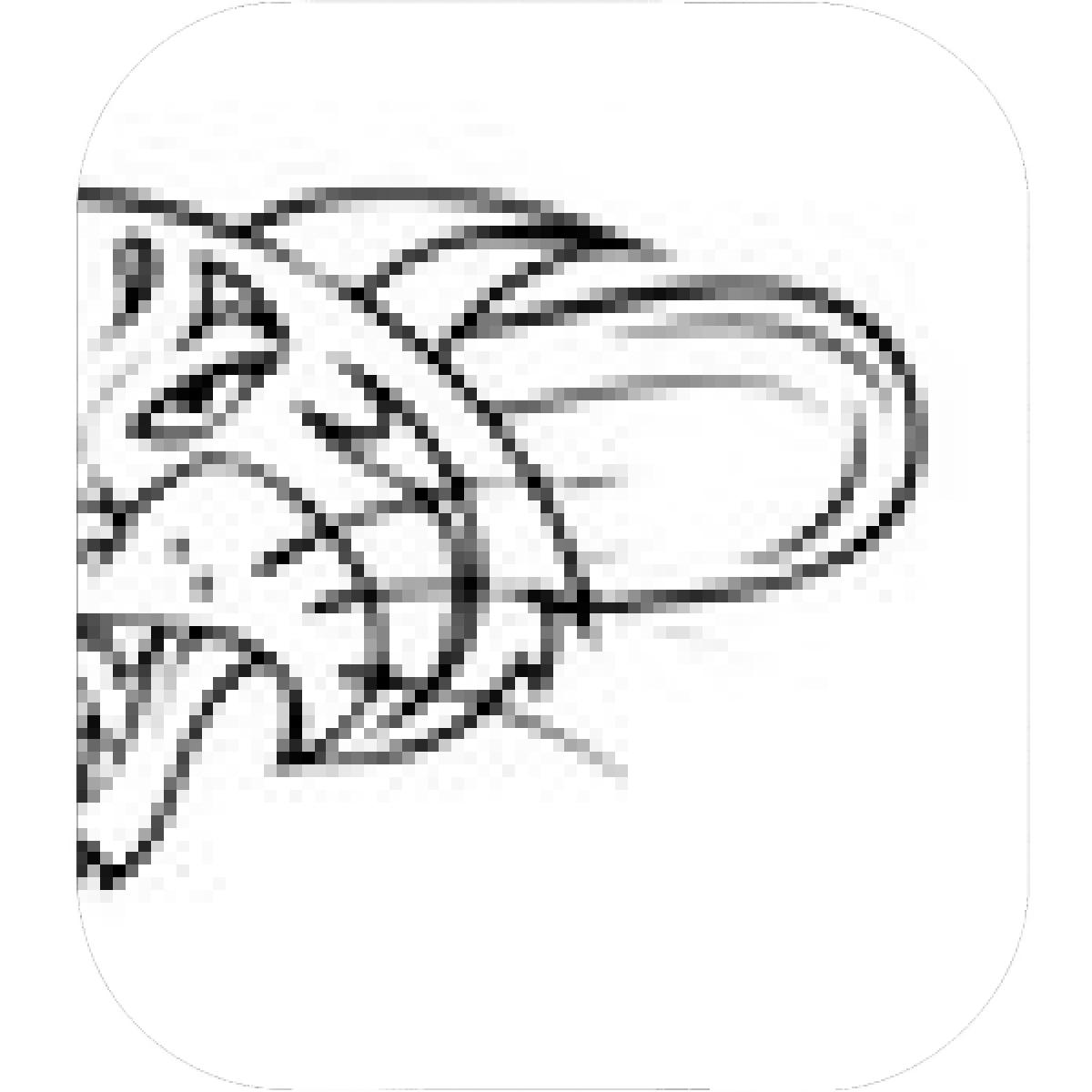 1200x1200 Designs Mein Mousepad Design Mousepad Selbst Designen