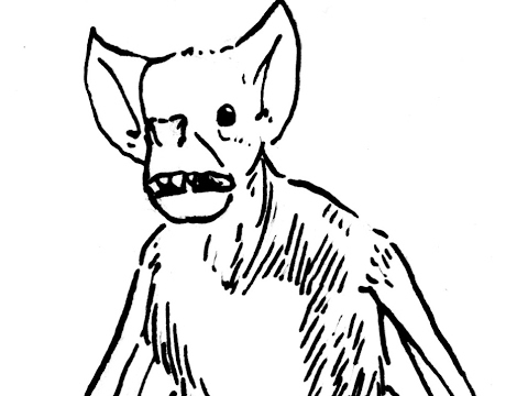 480x360 the man bat of northern mexico mexico unexplained