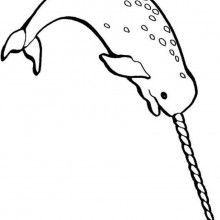 220x220 Best Bat Images Bat Coloring Pages, Bats, Drawing S