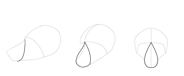 700x289 How To Draw A Fox Step