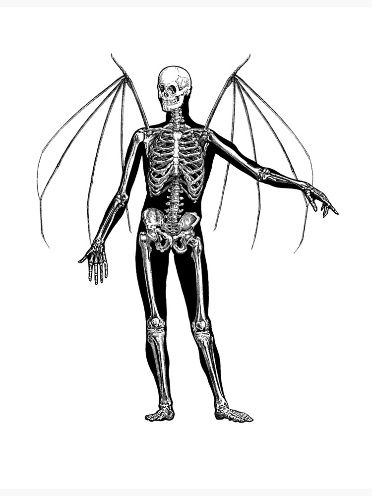 750x1000 Man Bat Skeleton Metal Print