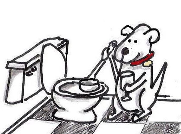 600x445 Funny Bathroom Drawings Fine Art America