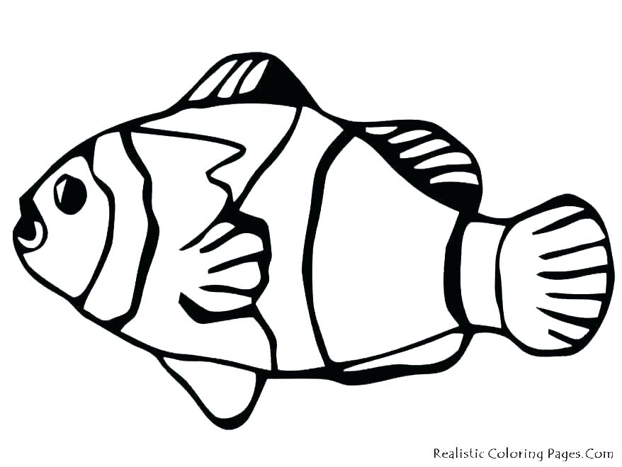 878x659 Batman Symbol Coloring