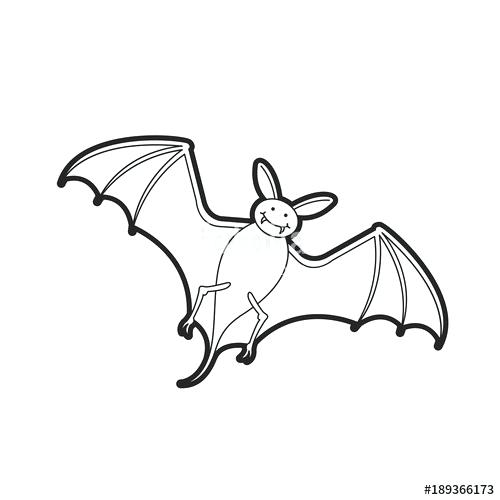 500x500 Outline Of A Bat Outline Bat Design Outline Picture Of Bathtub