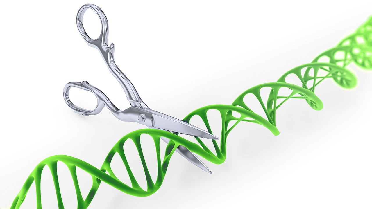 1280x720 Dramatic Twists Could Upend Patent Battle Over Crispr Genome