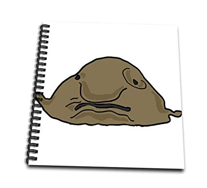 425x386 Db Funny Cute Ugly Blobfish Cartoon