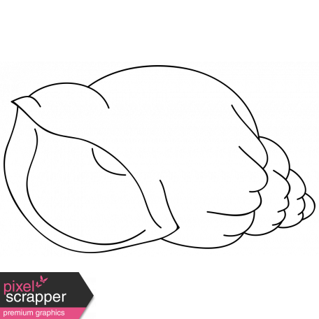 456x456 Drawing Beach Seashell Transparent Png Clipart Free Download