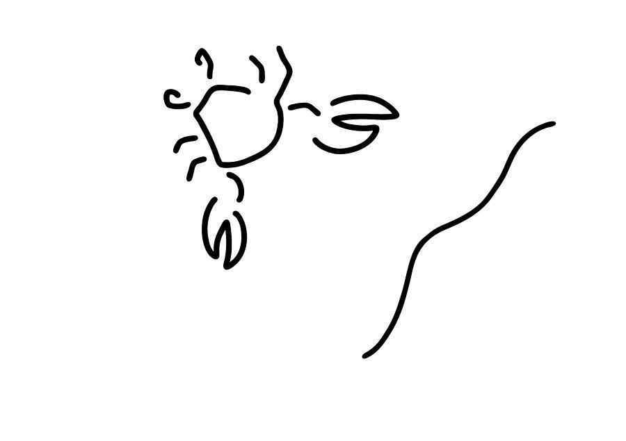 900x635 crawl crab sea beach drawing