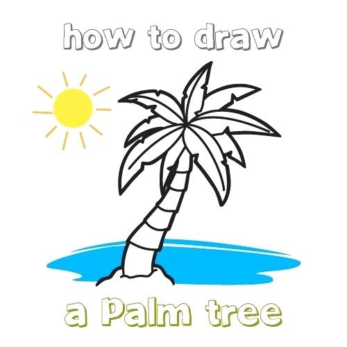500x500 Draw A Palm Tree Palm Tree Draw Palm Tree Beach