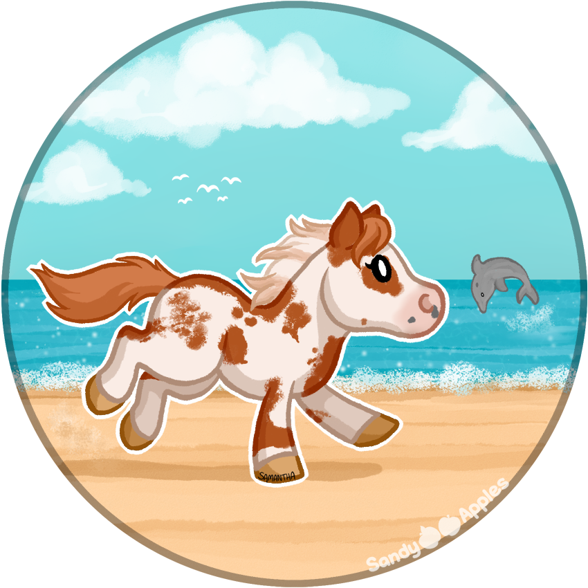 850x850 Drawing Beach Sandy Transparent Png Clipart Free Download