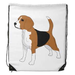 307x307 Beagle Drawing Accessories Zazzle Ca