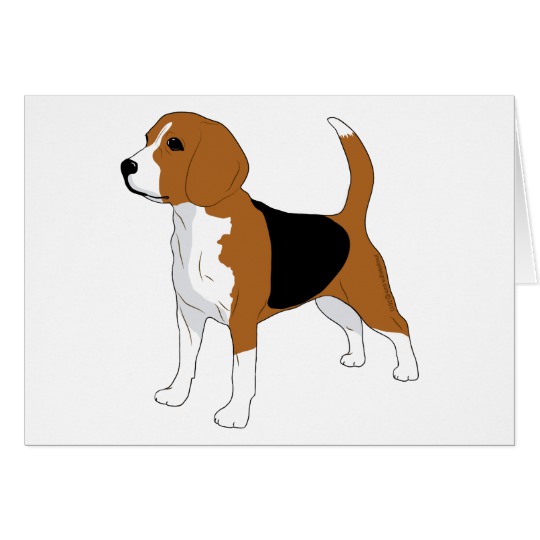 Beagle Drawing | Free download on ClipArtMag