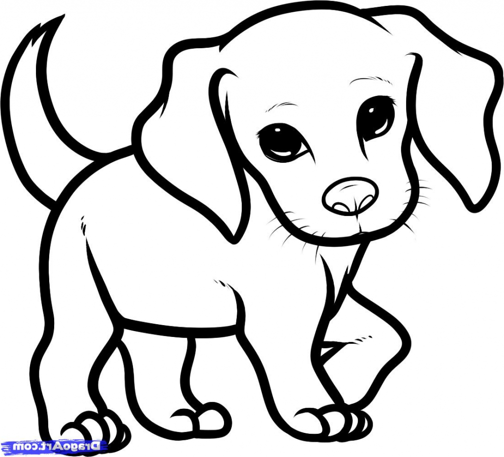 1024x929 Beagle Drawing Free Download
