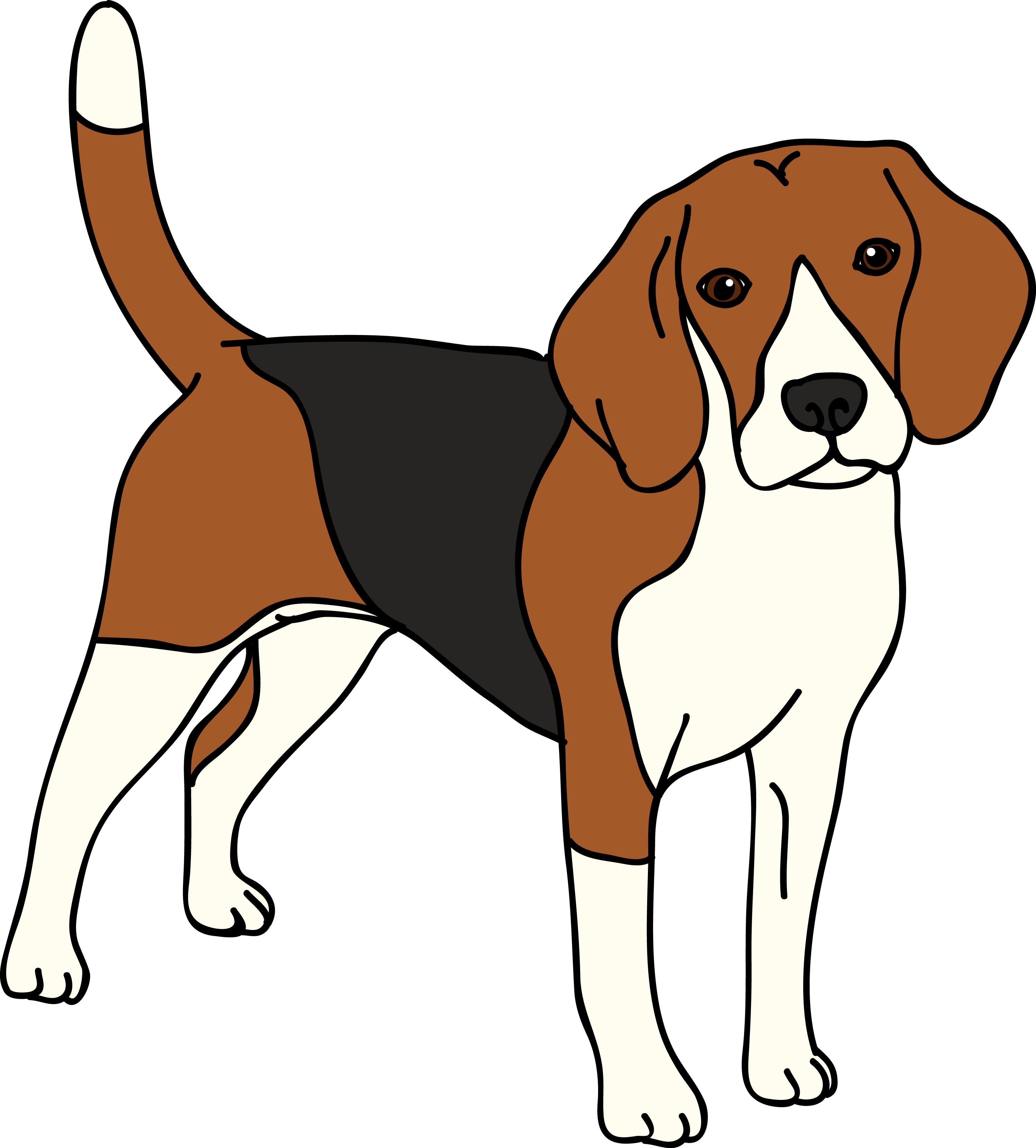 Beagle Drawing | Free download on ClipArtMag