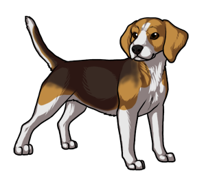 300x250 Collection Of Free Puppy Drawing Beagle Download On Ui Ex