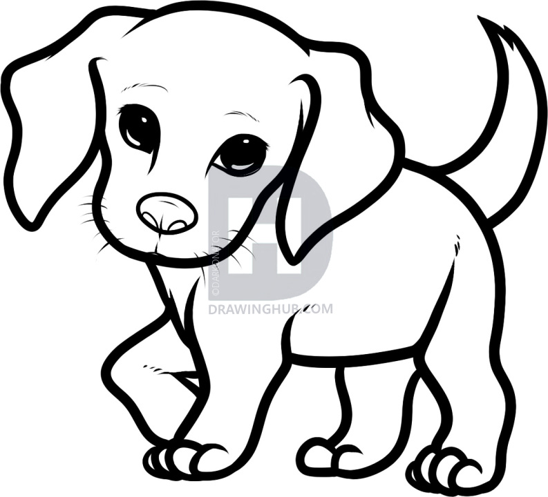 793x720 how to draw a beagle puppy, beagle puppy, step
