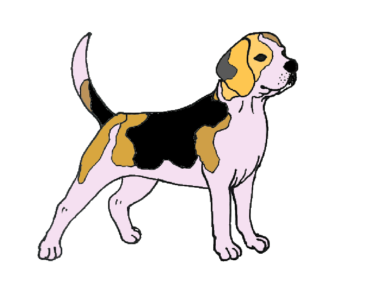 370x297 Beagle Archives