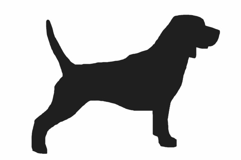 1024x682 Creth Davis Drawing Beagle