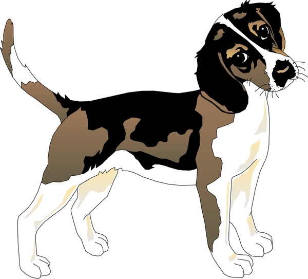 600x543 Beagle Free Vector In Open Office Drawing
