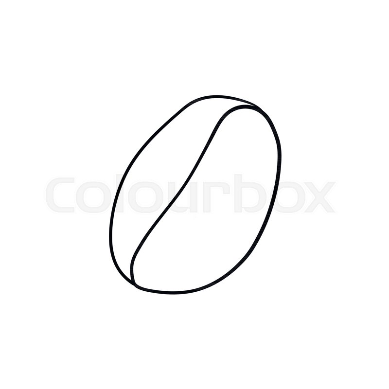 800x800 Coffee Bean Hand Drawn Outline Doodle Stock Vector Colourbox