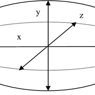 320x320 Schematic Drawing Of A Cocoa Bean With Its Characteristic