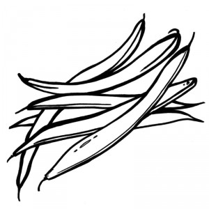 300x300 Green Beans Drawing Images In Collection