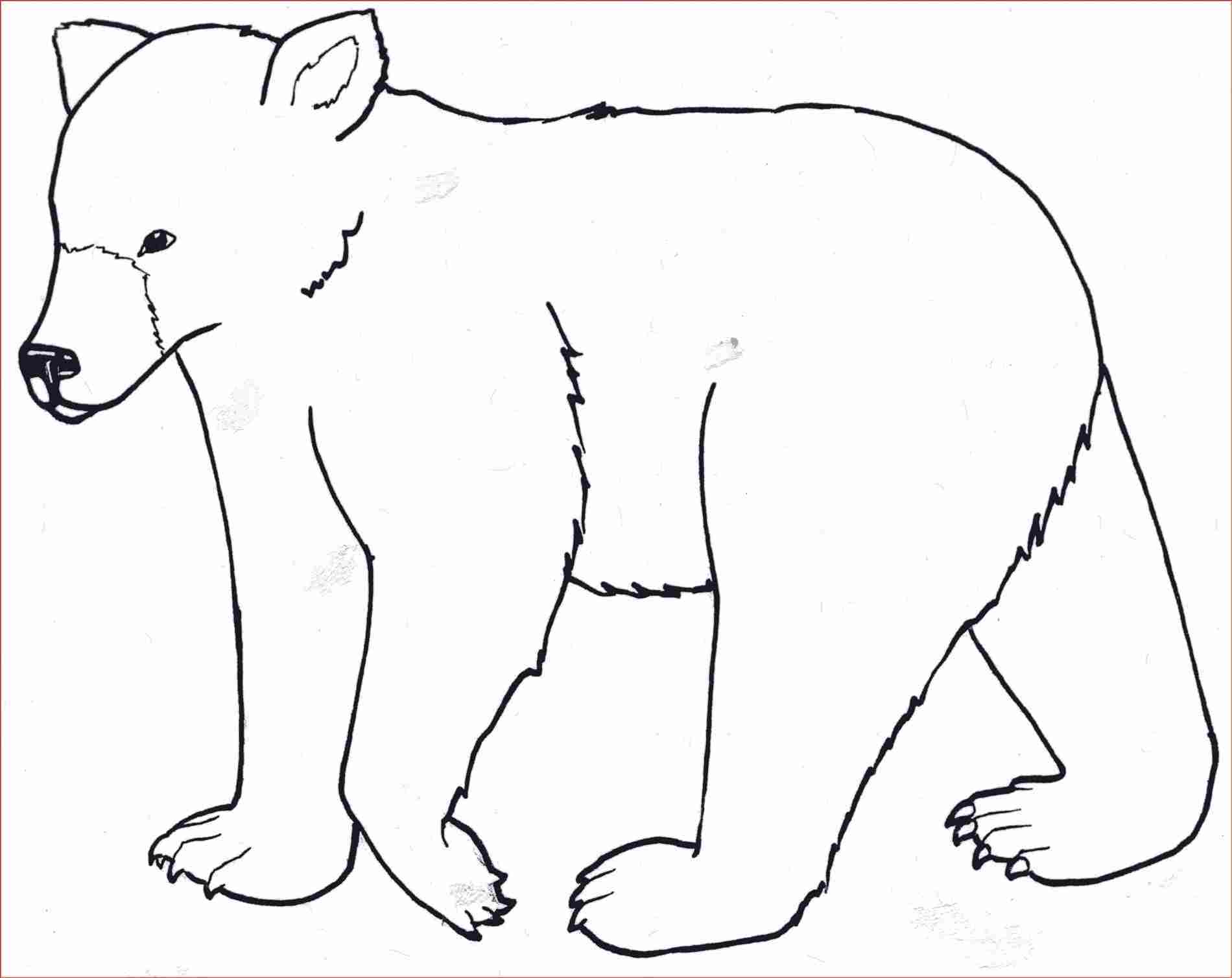 1900x1508 Easy Bear Claw Drawing Getscom Free For Personal Use Rhgetscom