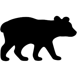Bear Cub Drawing