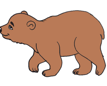 370x297 Bear Face Drawing Archives