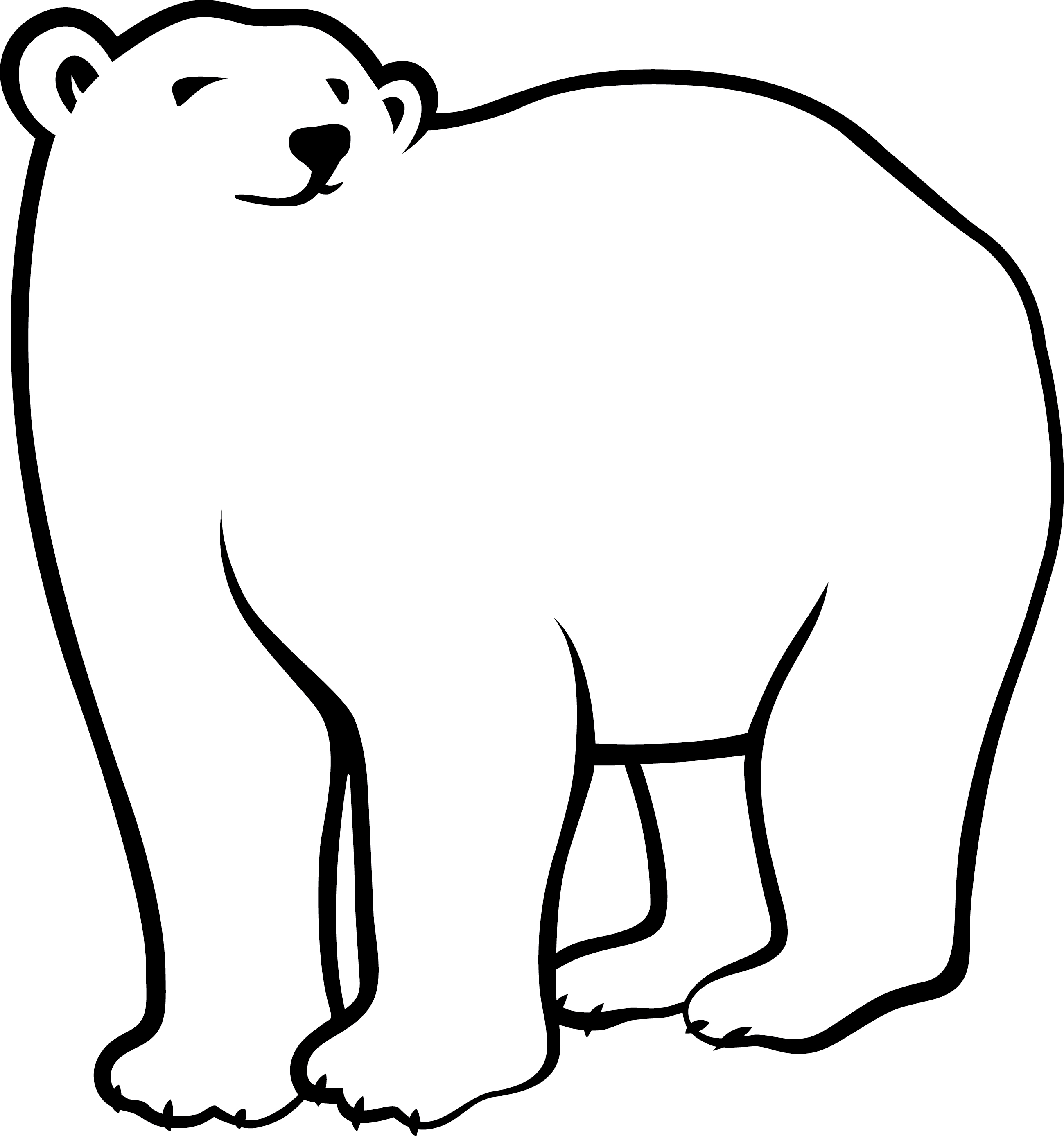 2599x2774 White Bear Drawing