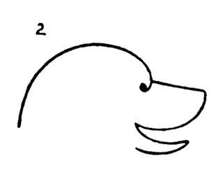 300x266 How To Draw A Bear Face Step