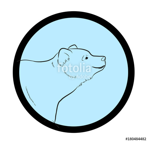 500x480 Wild Bear Face Closeup Drawing Vector Stock Image And Royalty