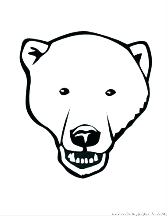 650x844 Draw A Polar Bear