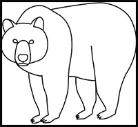 200x184 How To Draw Bears Drawing Tutorials Drawing How To Draw