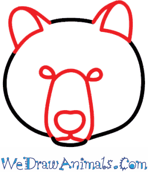 300x350 How To Draw A Brown Bear