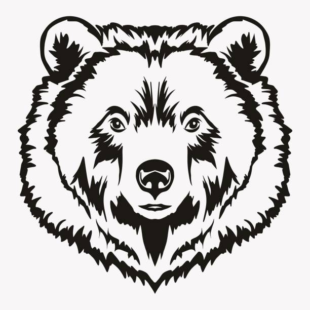 612x612 Bear Head Outline Royalty Free Grizzly Clip Art Vector Images
