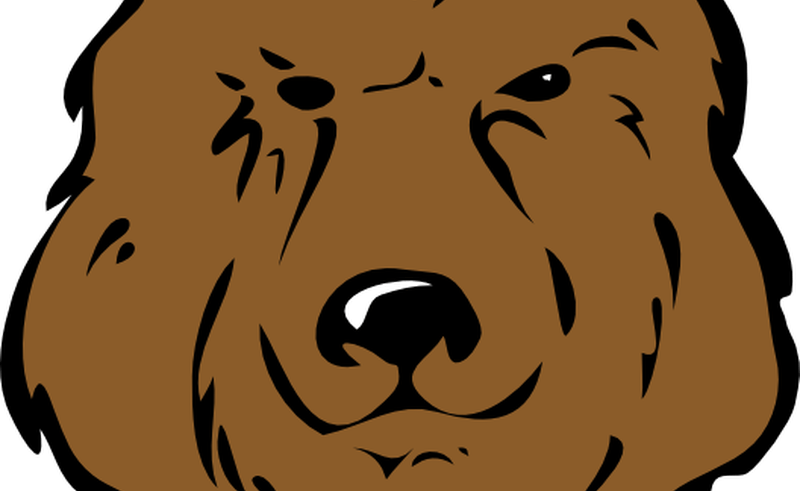 Bear Face Drawing | Free download on ClipArtMag