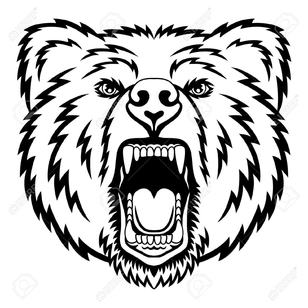 1300x1300 Bear Head Drawing