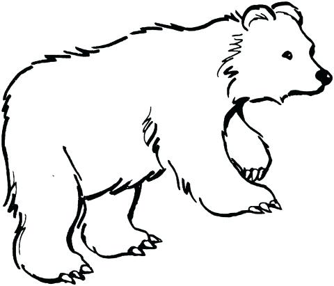 Bear Outline Drawing | Free download on ClipArtMag