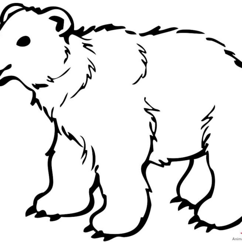 Bear Outline Drawing | Free download on ClipArtMag