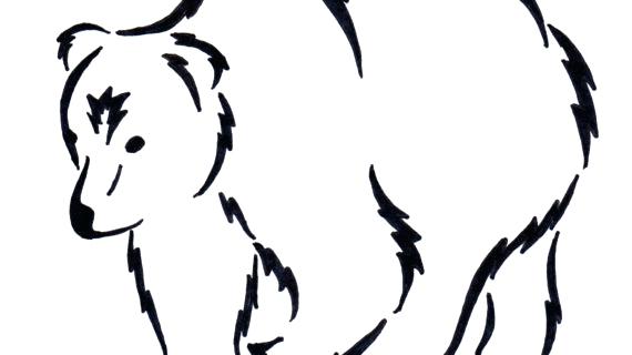 570x320 simple bear drawing simple drawing of a teddy bear simple bear paw