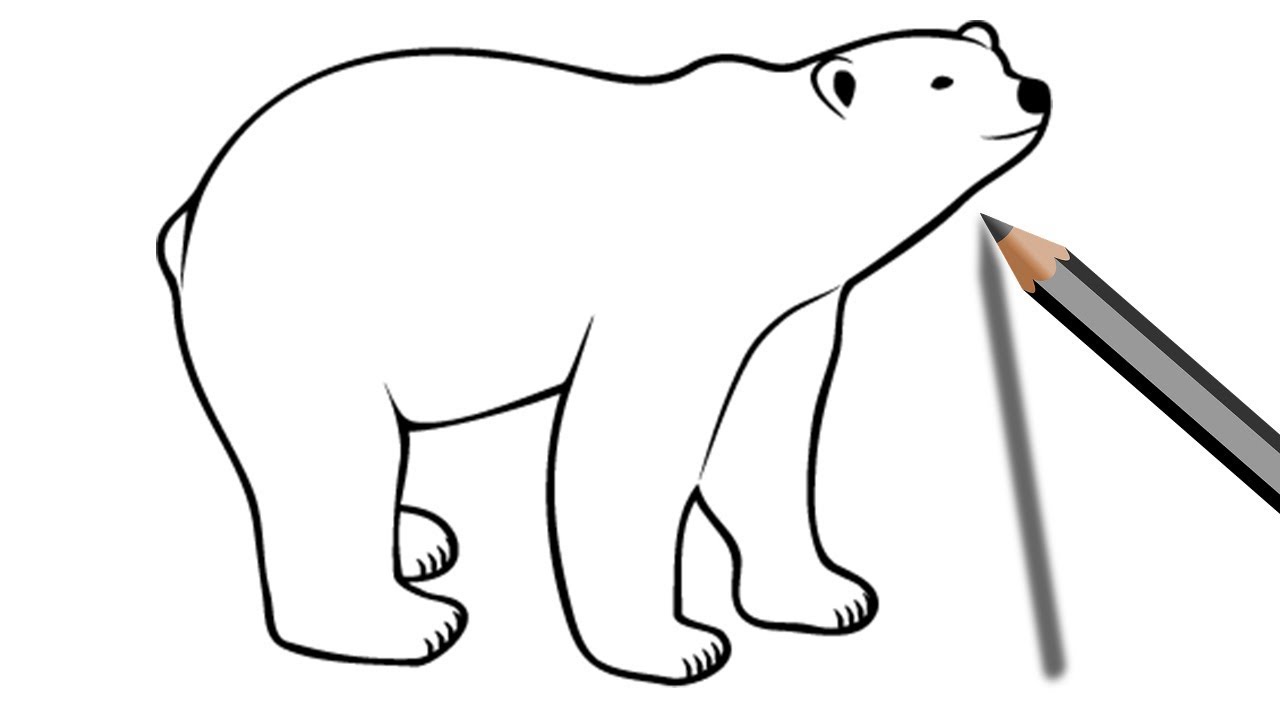 1280x720 How To Draw A Bear Easy Drawing With Pencil Step