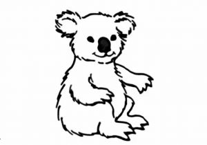 300x210 Koala Bear Drawing How To Draw A Koala Paper Drawing