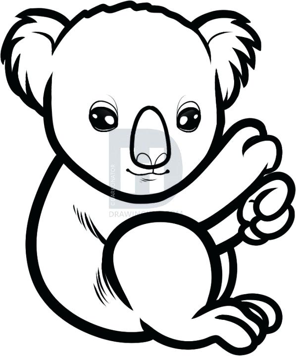 598x720 Koala Drawing Koala Bear Cartoon Drawing