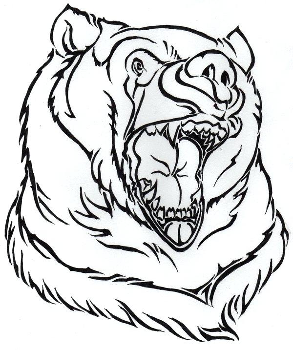 600x717 Outline Of A Bear Beard Outline Pencil