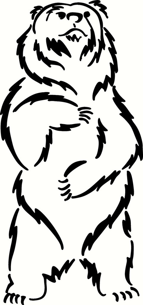 482x1024 Draw Bear With Standing Up Drawing