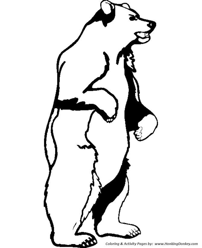 670x820 How To Draw A Black Bear Standing Up