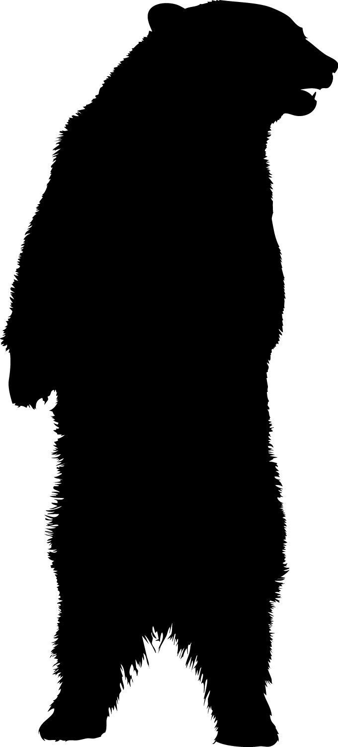 680x1500 Ice Bear Transparent Png Clipart Free Download