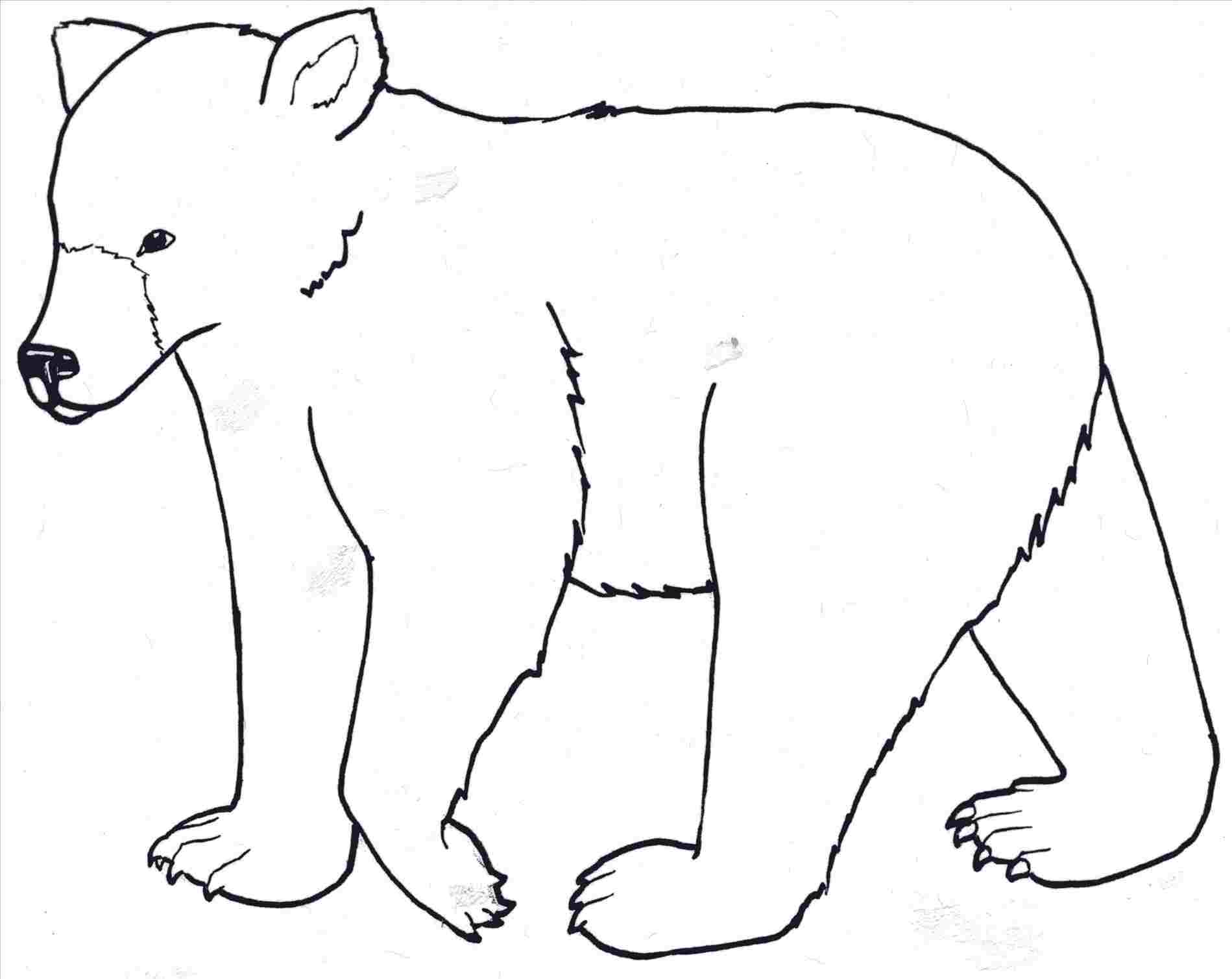 Bear Standing Up Drawing Free download on ClipArtMag